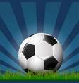 soccer ball on grass vector image