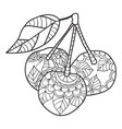 coloring pages for adults cherry sketch fruits vector image
