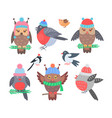 collection of birds icons vector image vector image