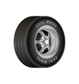 car wheel for sport vector image