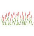 drawing wild flowers bistort vector image vector image