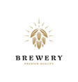 brewing company logo logo vintage vector image vector image