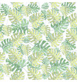 seamless pattern with monstera leaves vector image vector image