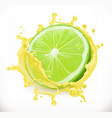 lime juice fresh fruit 3d icon vector image vector image
