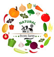 vegetables colored icons vector image