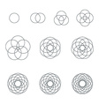 round contour various sacred geometry set vector image vector image