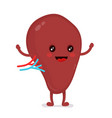 strong healthy happy spleen character vector image vector image