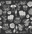 mushrooms seamless pattern hand drawn on chalk vector image