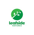 green abstract two side leaf logo design graphic vector image