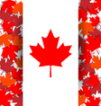 maple leaf background for celebrate the national vector image vector image