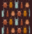 seamless pattern with geometric insects in row vector image