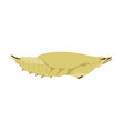 aglas io - peacock butterfly - chrysalis vector image vector image