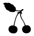cherry vector image