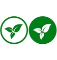 icon with green leaves vector image
