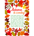 autumn fallen leaf poster with fall nature frame vector image