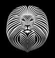 simple lion head in a linear style vector image vector image