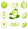 apple icons vector image