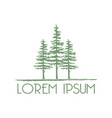 three green evergreen trees vector image