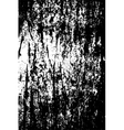 grunge background vector image vector image