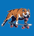 skateboarding bulldog vector image vector image