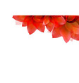 border of red tulips vector image vector image