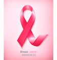 breast cancer awareness ribbon on a pink vector image vector image