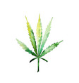 green cannabis leaf for your design projects vector image