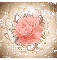 vintage abstract peony flower vector image