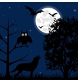 night on halloween vector image