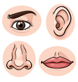 Sensory organs hand nose ear mouth and eye Vector Image