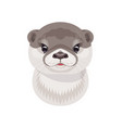 funny river otter cub on white vector image