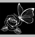 white silhouette of butterfly on rose isolated vector image