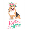 merry spring poster with welsh corgi in a wreath vector image