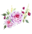nice roses vector image