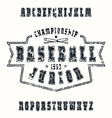 serif font with contour and texture vector image