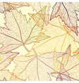 autumn transparent maple leaves pattern background vector image