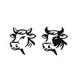 cow head black on white vector image
