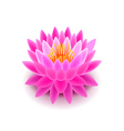 lotus flower isolated on white vector image