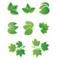 green sheet vector image vector image