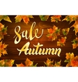 autumn special sale vintage typography vector image