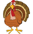 turkey cartoon vector image