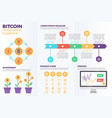 bitcoin cryptocurrency infographic elements vector image