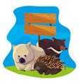 animals australia with background landscape vector image vector image