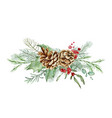 watercolor christmas floral bouquet vector image vector image