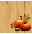 pumpkin vector image vector image
