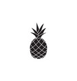 pineapple and ananas soldi icon healthy fruit vector image