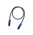 jumping rope icon isometric of rope vector image vector image