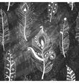 pattern with hand-drawn feathers on chalkboard vector image