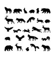 forest animals hand drawn silhouettes black vector image