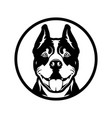 pitbull boxer dog head cut out silhouette vector image vector image